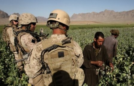 چگونه ایالات متحده در افغانستان مغلوب تجارت تریاک شد؟