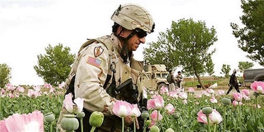 آمریکا و افغانستان در جنگ علیه موادمخدر شکست خورده‌اند