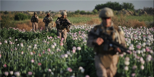 پاکستان اصلی‌ترین راه ترانزیت مواد مخدر افغانستان است