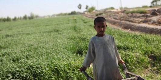 سرمایه‌گذاری خارجی کشاورزی افغانستان را نجات می‌دهد