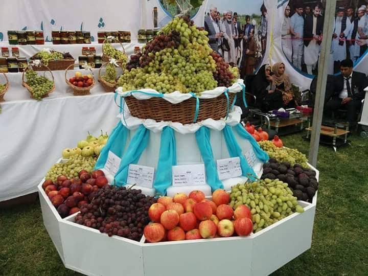 جشنواره‌ی ‌انگور و عسل در هرات برگزار شد