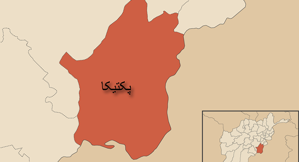 تلفات سنگین طالبان در درگیری با نیروهای دولتی افغان در پکتیکا