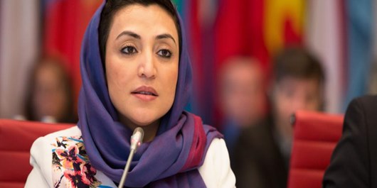 نماینده جدید افغانستان در سازمان ملل منصوب شد