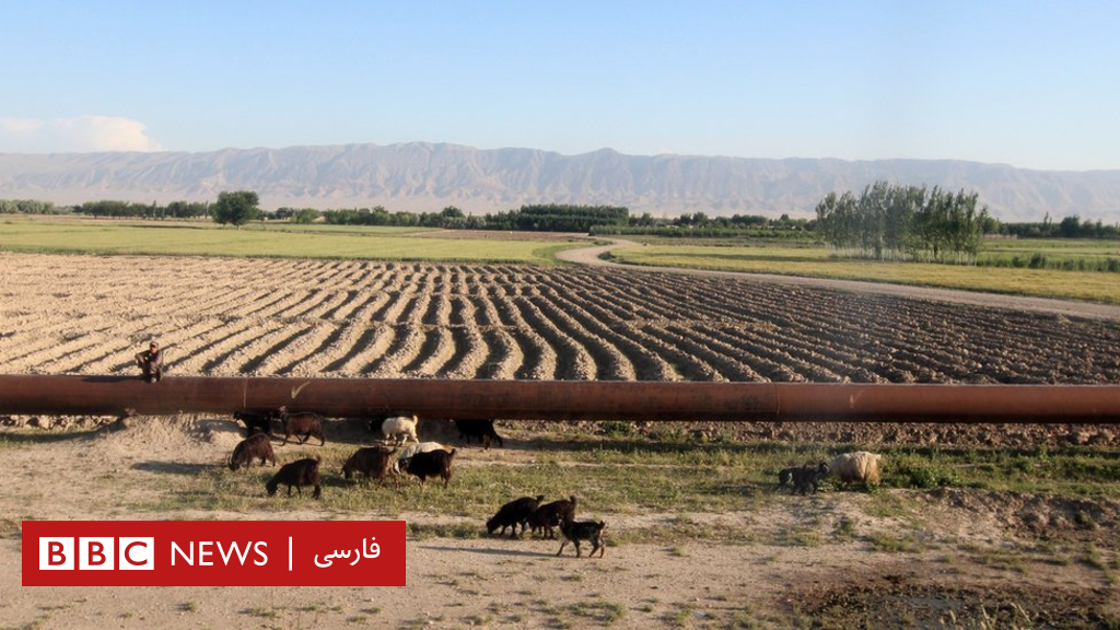 طالبان خط لوله انتقال گاز جوزجان به مزارشریف را قطع کردند