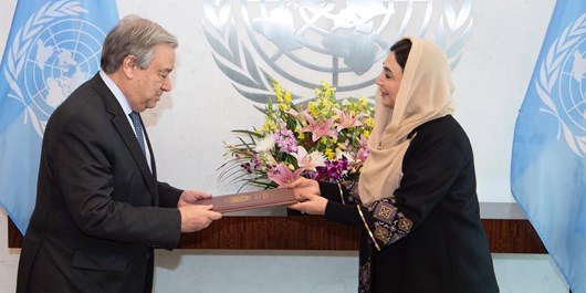 نماینده جدید افغانستان در سازمان ملل اعتبارنامه خود را تقدیم کرد