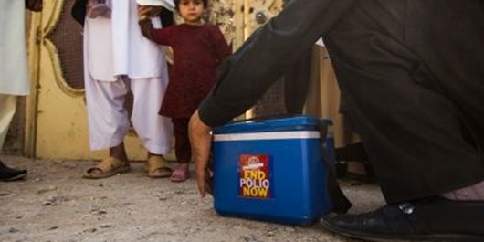 طالبان یک واکسیناتور فلج اطفال را در پکتیا به قتل رساند
