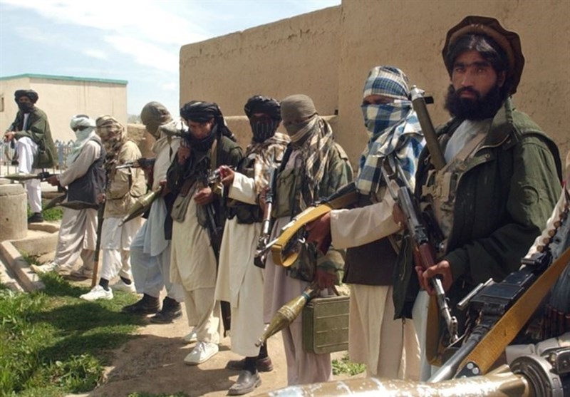 ۱۱ طالب مسلح ولایت هرات، کشته و زخمی شدند