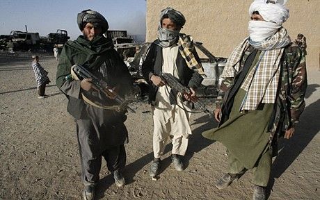 ادامه تلفات طالبان؛ بیش از ۷۰۰ عضو این گروه کشته و زخمی شد